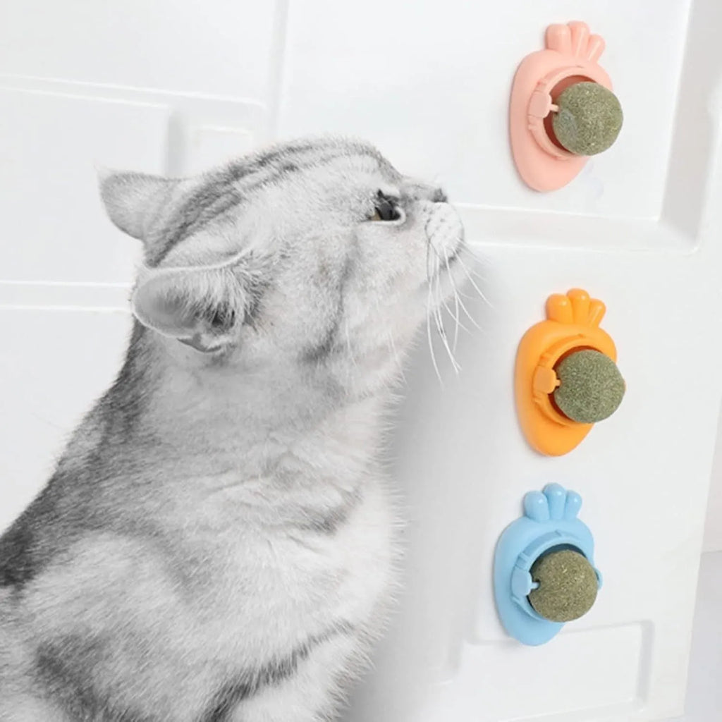 Blue carrot-shaped self-adhesive catnip wall ball for indoor cats with teeth cleaning function
