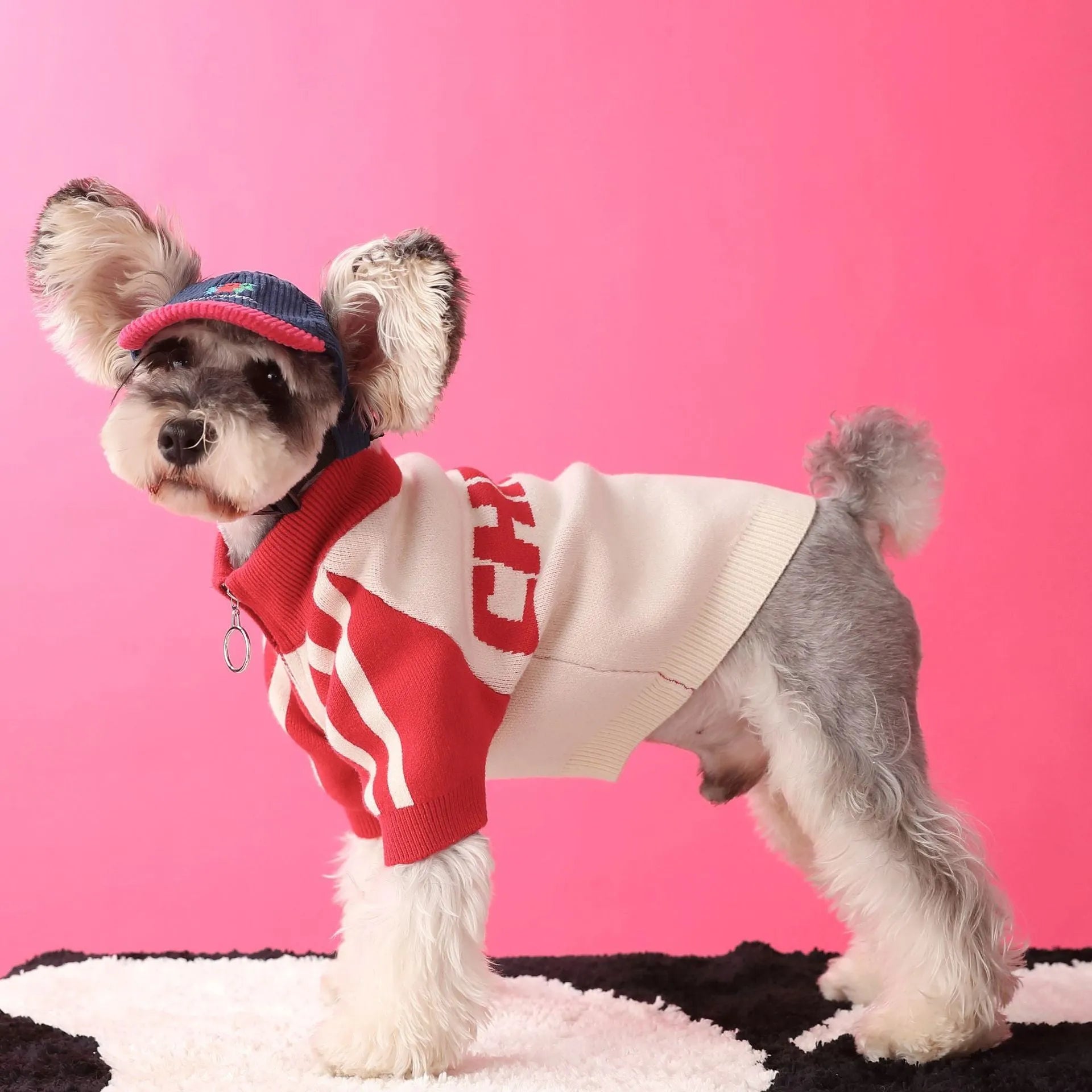 Red dog sports sweater cardigan on canine model showing wool fabric and front-opening design