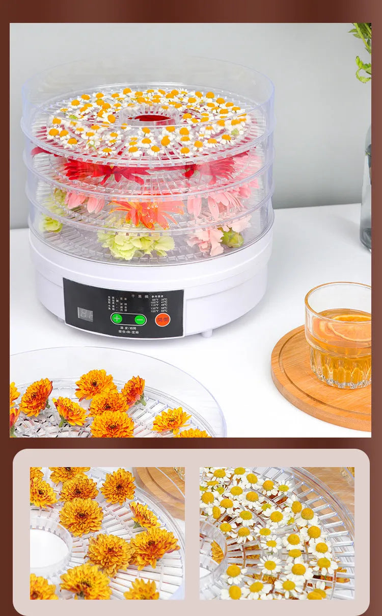 White five-tray food dehydrator with UK plug on kitchen countertop