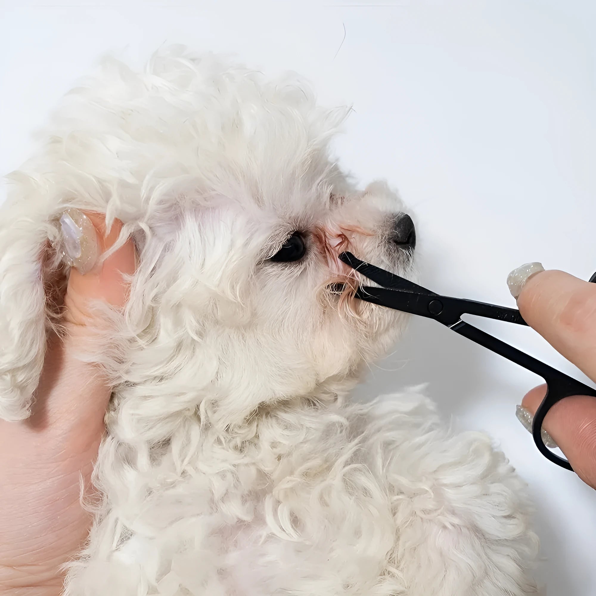Black dual-sided pet grooming brush showing soft bristles for eyes on one end and a wider comb on the other