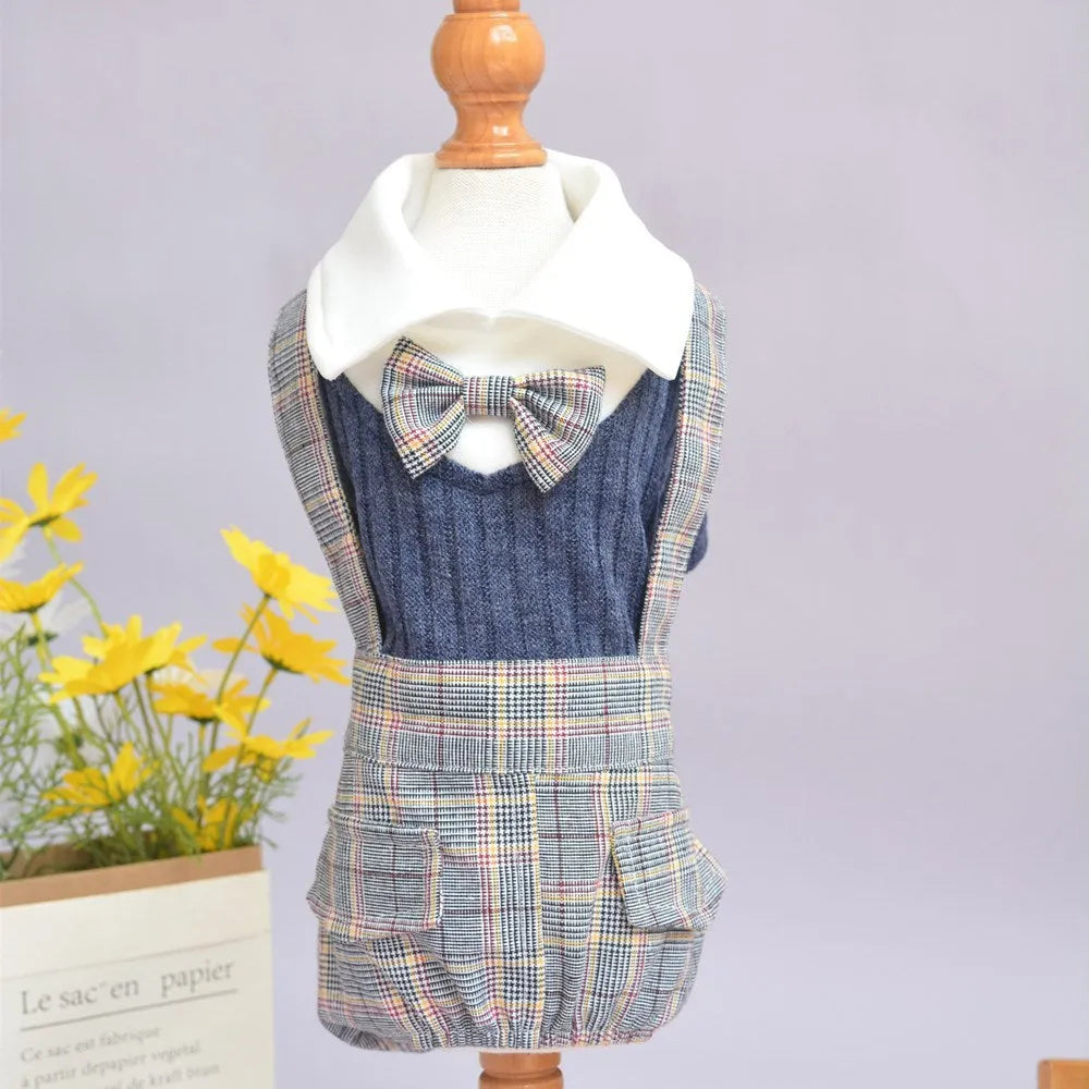 Cotton dog suit shirt for small dogs in orange and dark blue colours with size options