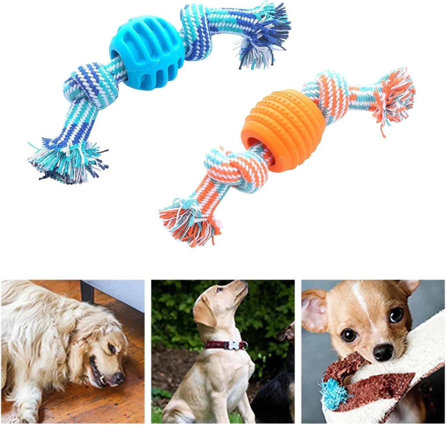 Blue molar-shaped dog chew toy with white ropes for teeth cleaning