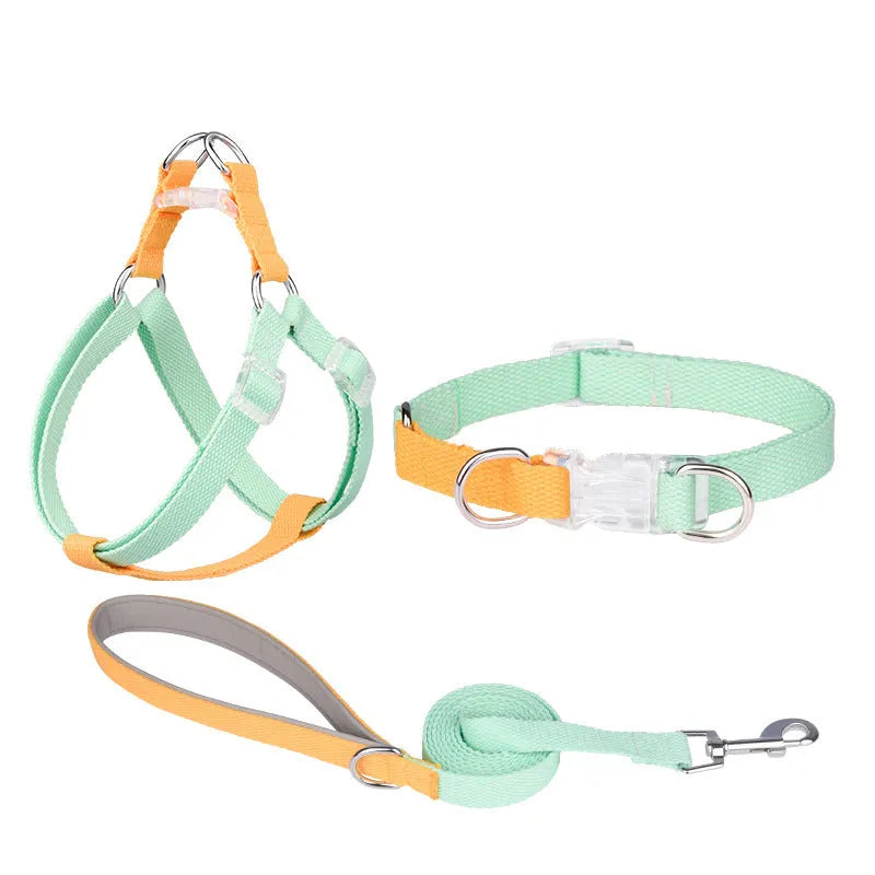 Polyester ribbon dog collar, lead, and chest strap set in a choice of five colour combinations