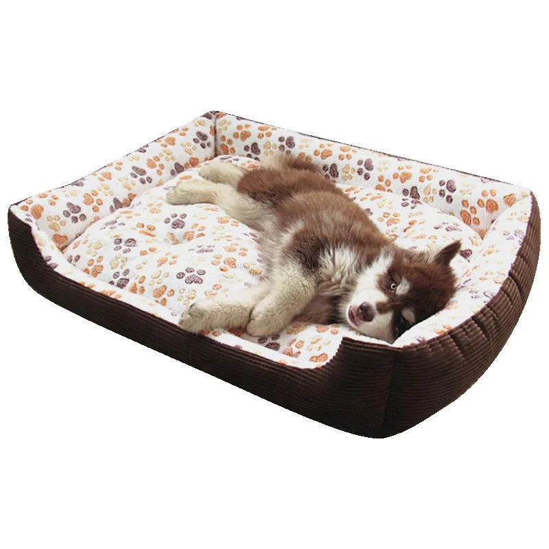 Orthopaedic foam dog bed with plush cover in beige, showing sofa-style raised edges and available in six sizes