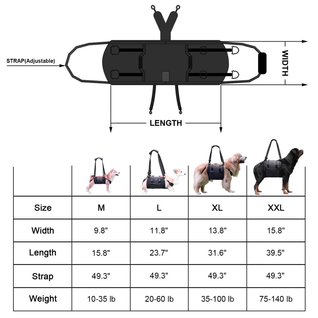 Black Oxford cloth dog harness with adjustable leg support shown in size options L, M, XL, XXL