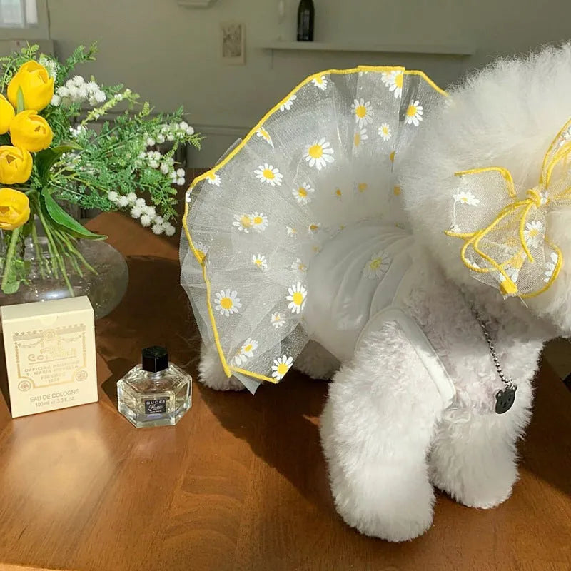 Yellow little daisy pattern polyester dog clothes for summer wear in sizes XS S M L XL