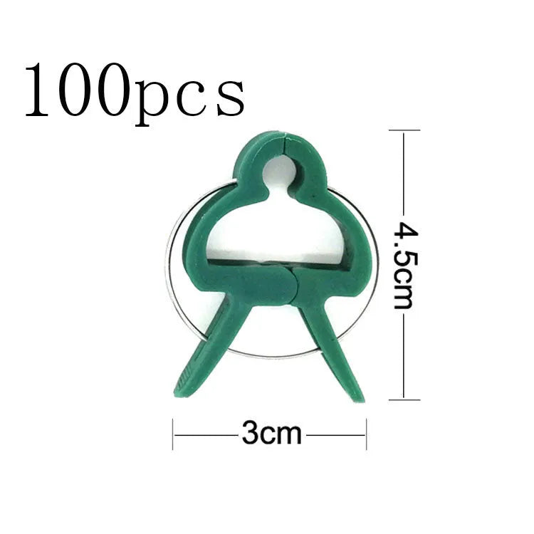 Green plastic and zinc plant fixing clips for large and small climbing plants like tomatoes and beans.