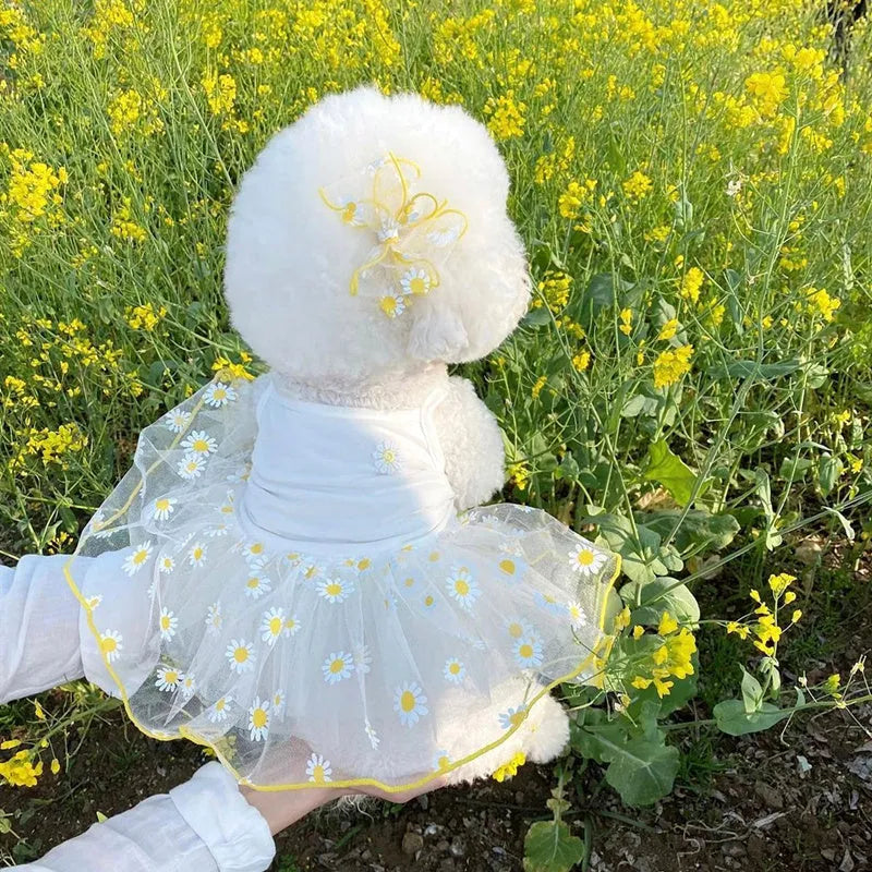 Yellow little daisy pattern polyester dog clothes for summer wear in sizes XS S M L XL