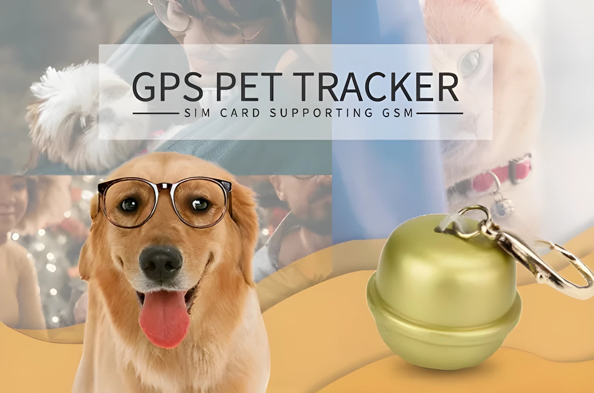 Waterproof GPS dog collar and pet locator in black, brown, green, and pink colours on a table.