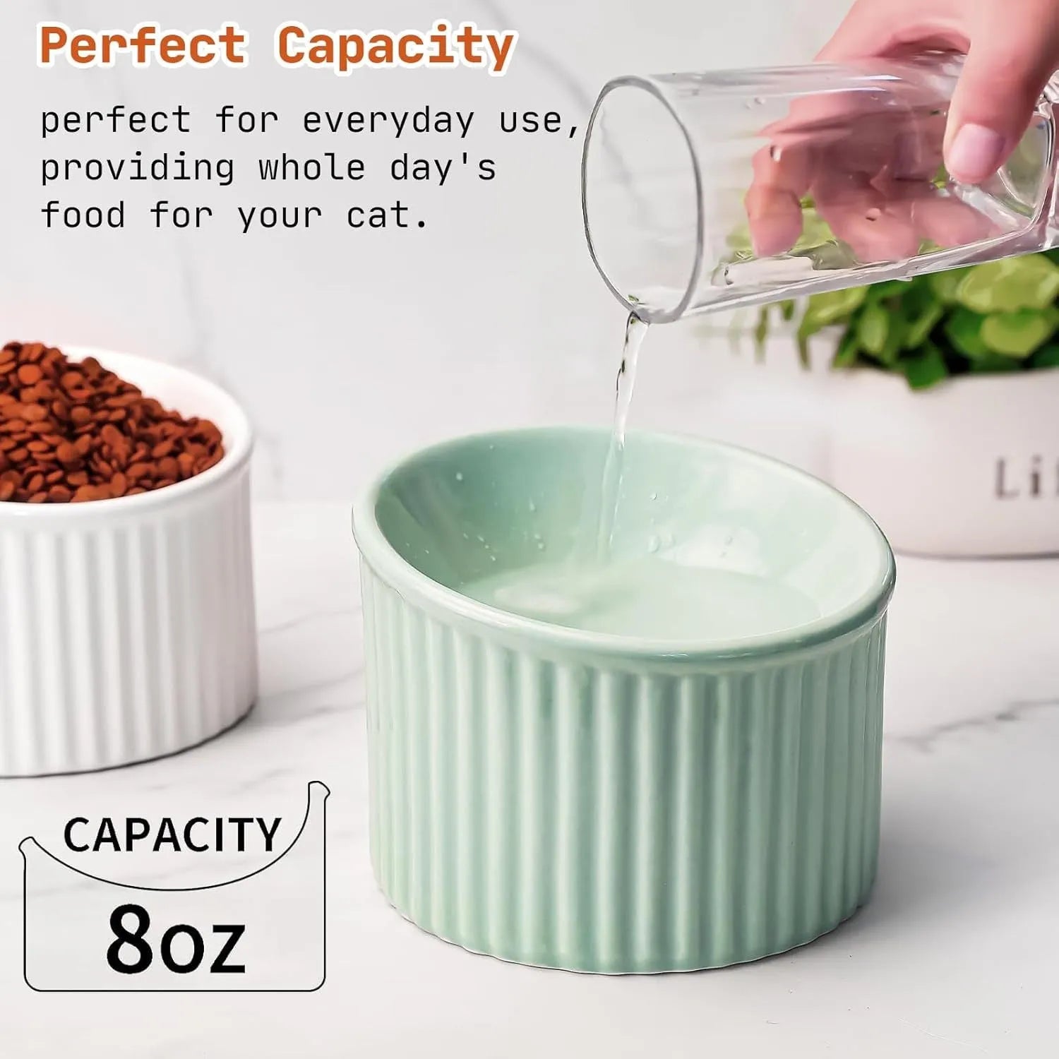 Elevated ceramic cat bowl in green colour with tilted design for whisker-friendly feeding