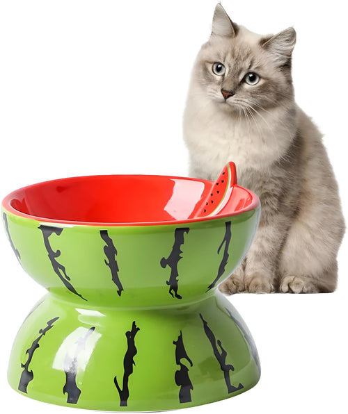 Ceramic raised cat bowl with tilted angle and fruit pattern