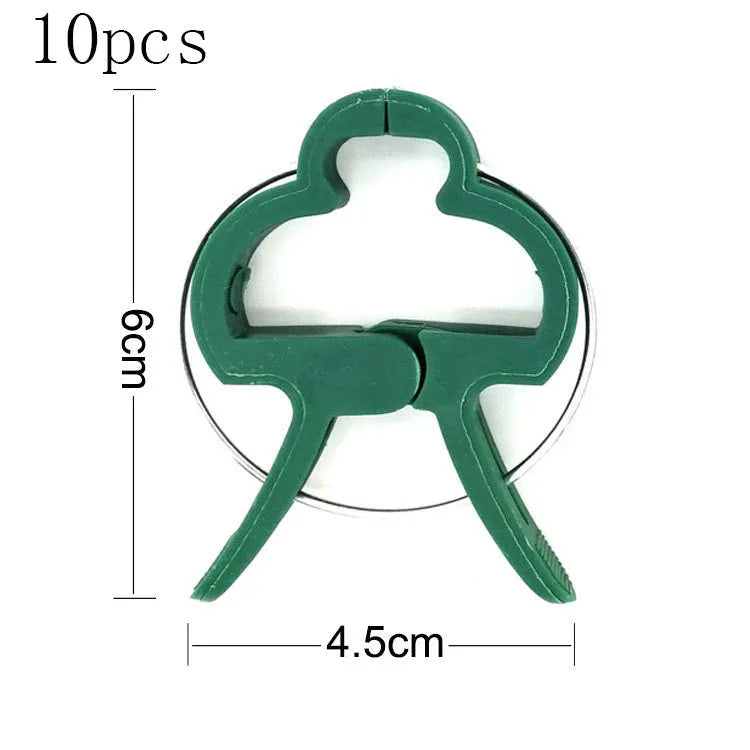 Green plastic and zinc plant fixing clips for large and small climbing plants like tomatoes and beans.