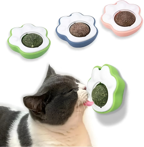 Set of four coloured catnip balls for dental cleaning and play, showing 45mm size