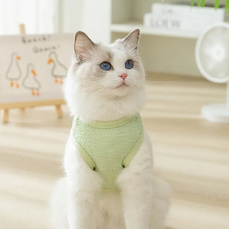 Cartoon bear patch cat clothes in knitted fabric with breathable hollowed-out design