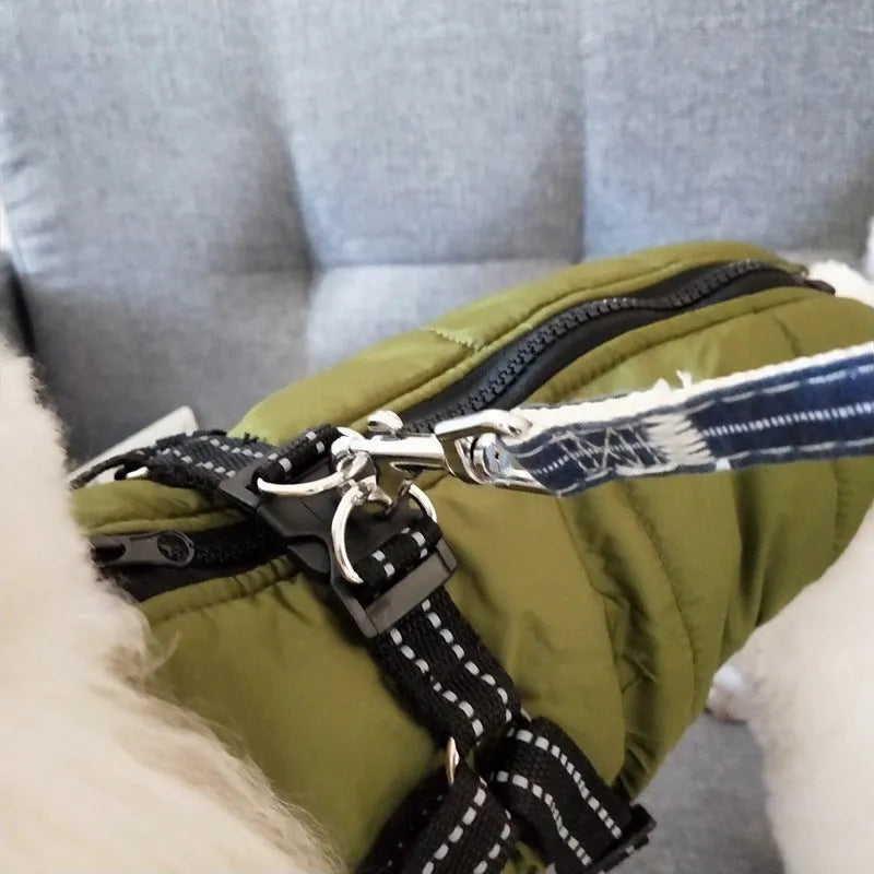 Red waterproof dog coat with integrated harness on a Labrador retriever