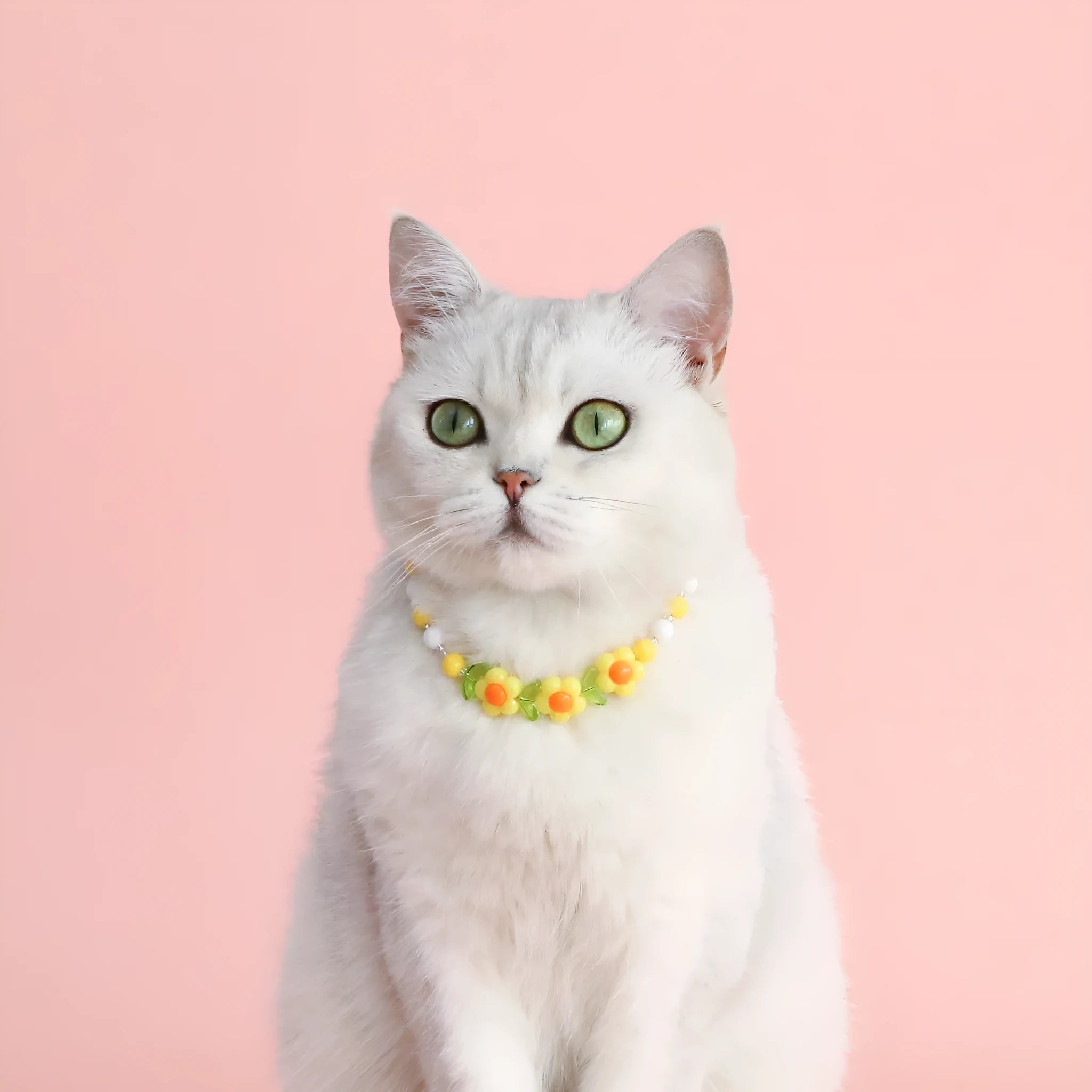 Colourful plastic pearl bead cat necklace with small flower, rainbow, or peach designs on a white background.