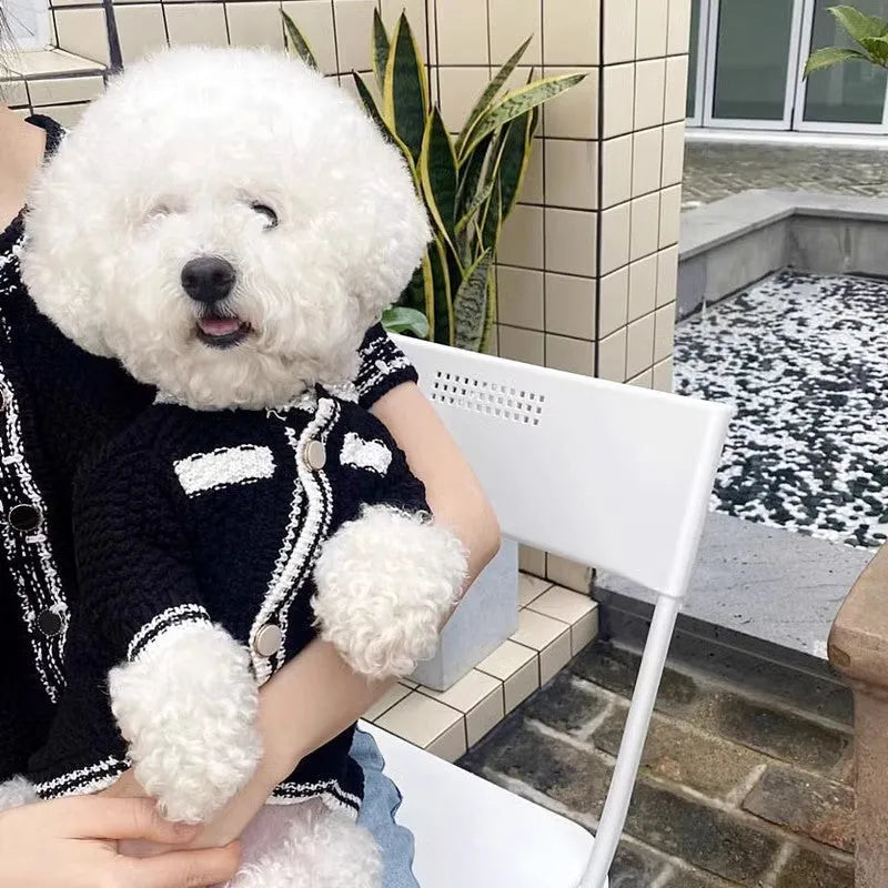 White Korean-style dog sweater with pearl collar on a small puppy, showing princess fit and detailing.