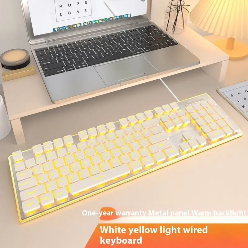 Wired computer keyboard with mute button and blue backlighting on a desk