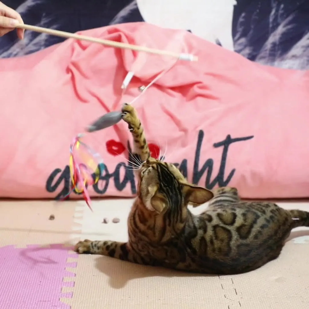 Cat wand toy with colourful ribbons, catnip fish attachment, and bell on wooden handle