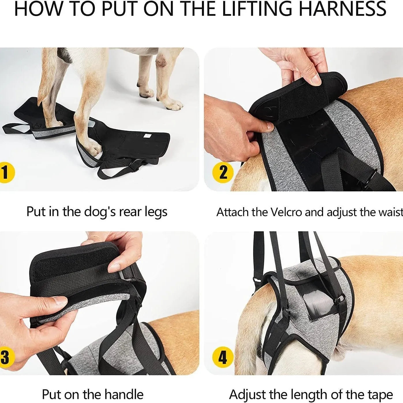 Grey neoprene dog rear leg recovery support belt shown on a size chart.