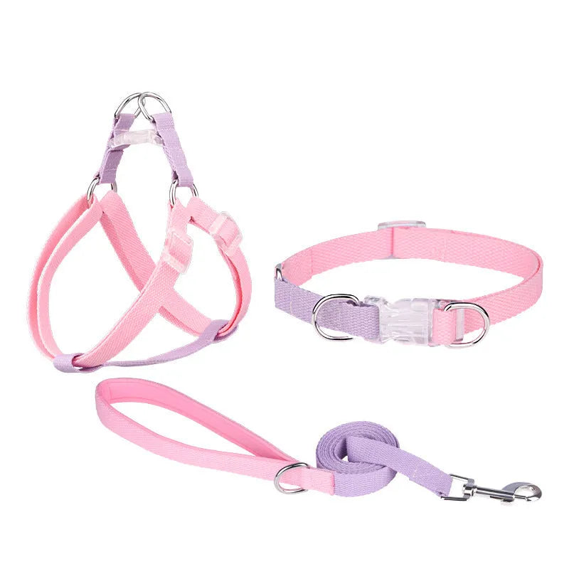 Polyester ribbon dog collar, lead, and chest strap set in a choice of five colour combinations