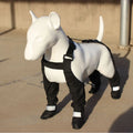 Black waterproof dog shoes with non-slip soles and strap fastening system