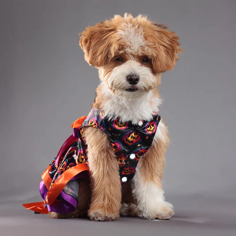 Halloween dog skirt costume with colourful pumpkin pattern and double-layer design
