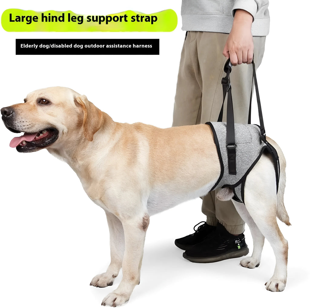Grey neoprene dog rear leg recovery support belt shown on a size chart.
