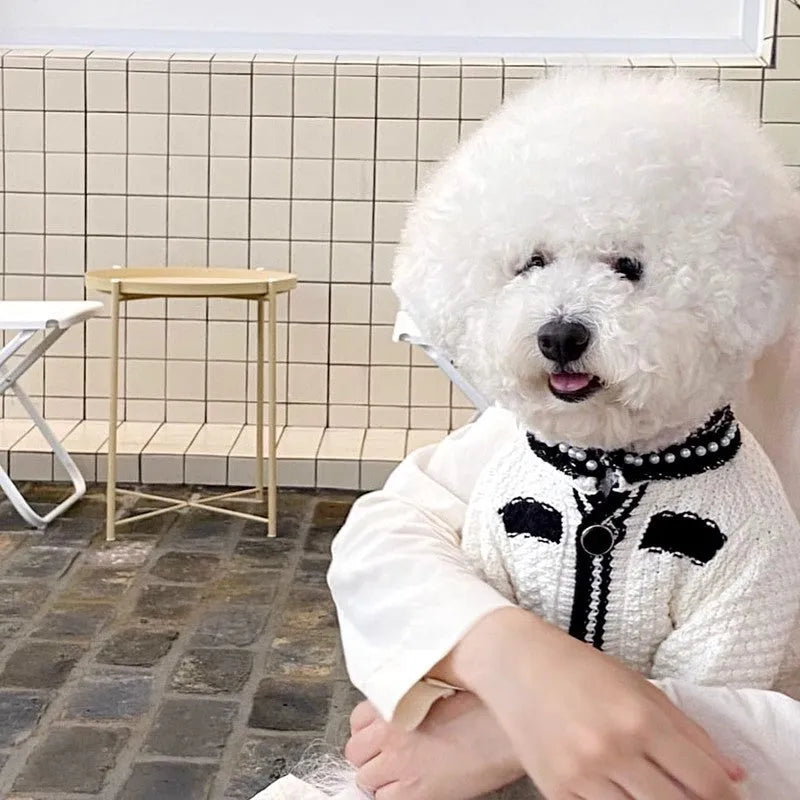 White Korean-style dog sweater with pearl collar on a small puppy, showing princess fit and detailing.