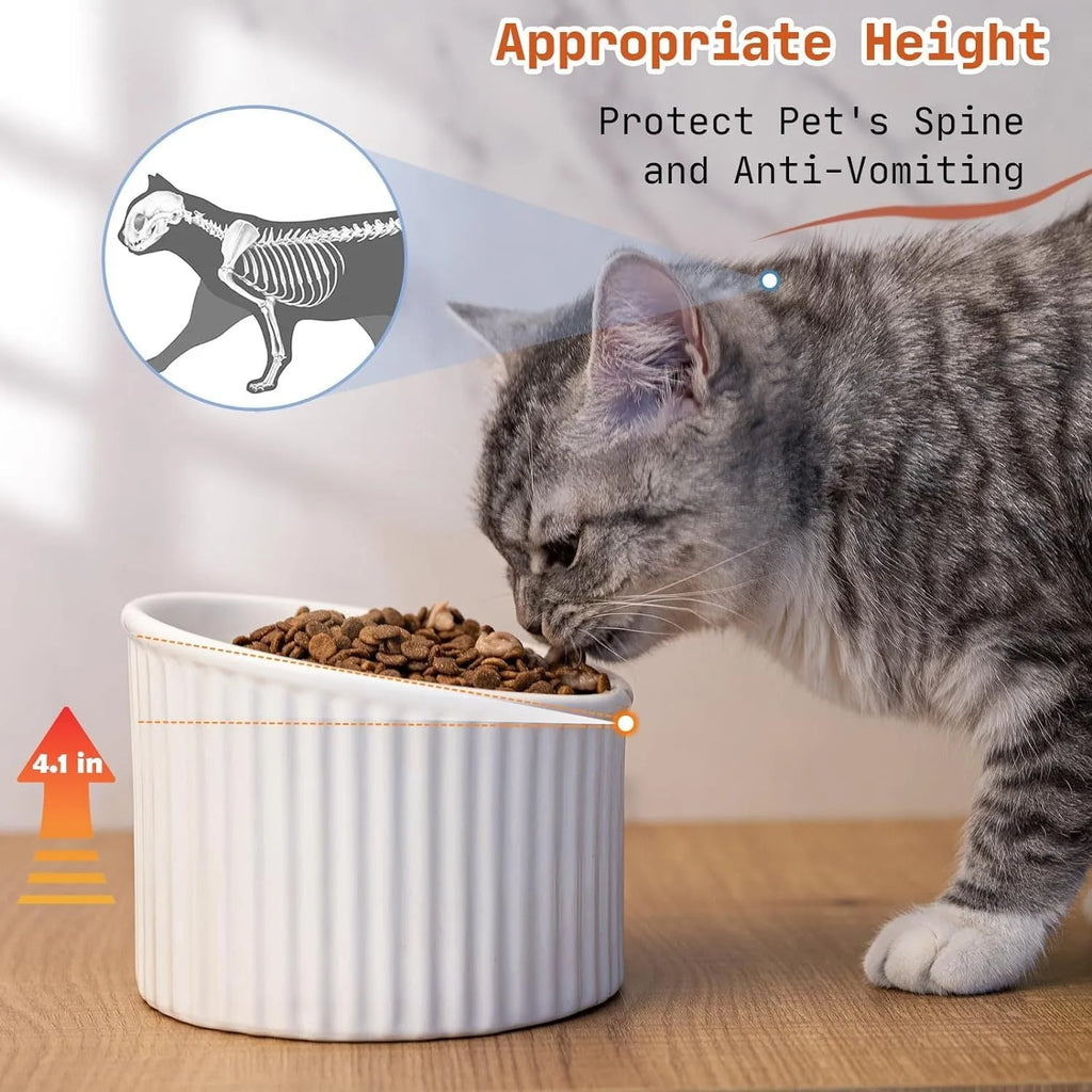 Elevated ceramic cat bowl in green colour with tilted design for whisker-friendly feeding