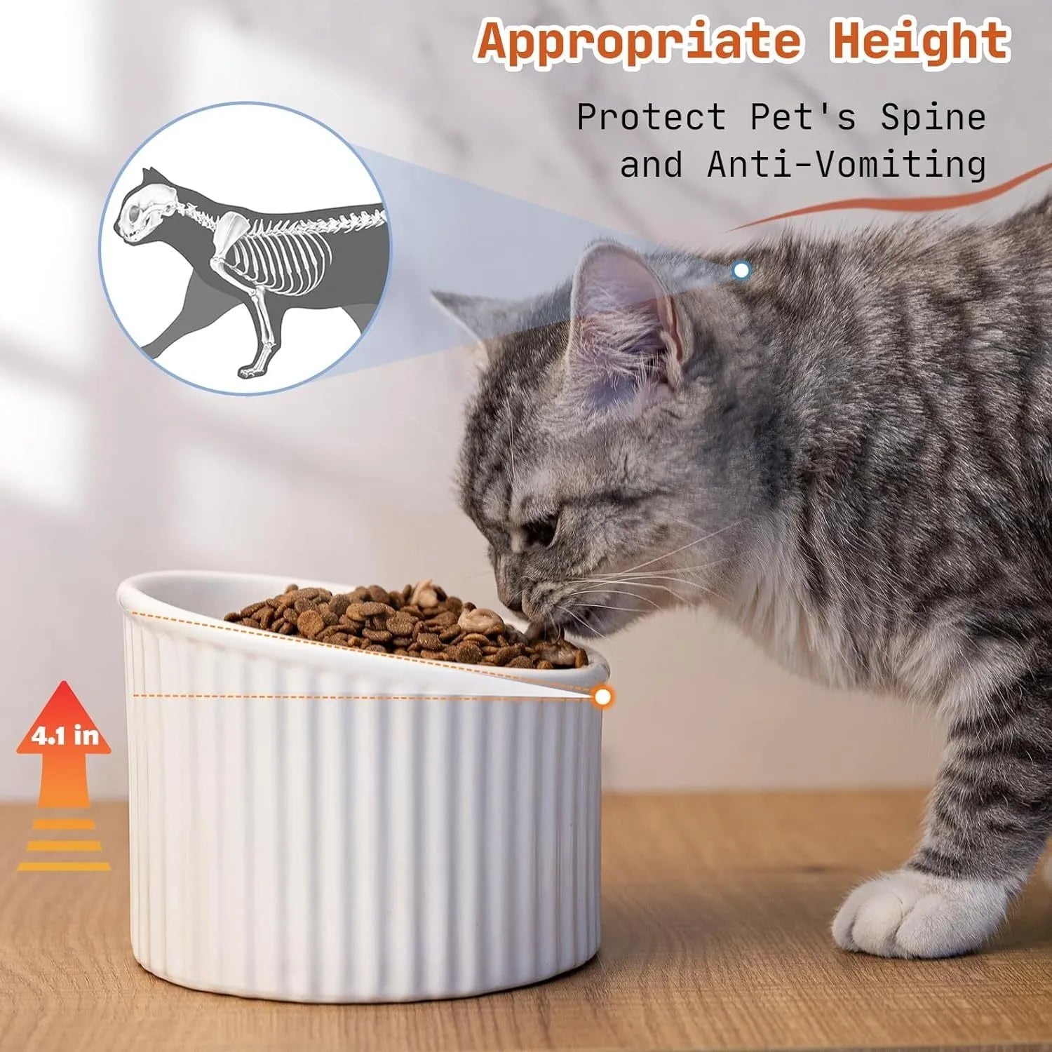 Elevated ceramic cat bowl in green colour with tilted design for whisker-friendly feeding