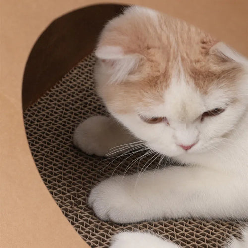 Brown washable kraft paper cat nest with integrated scratching board measuring 40x30x53cm