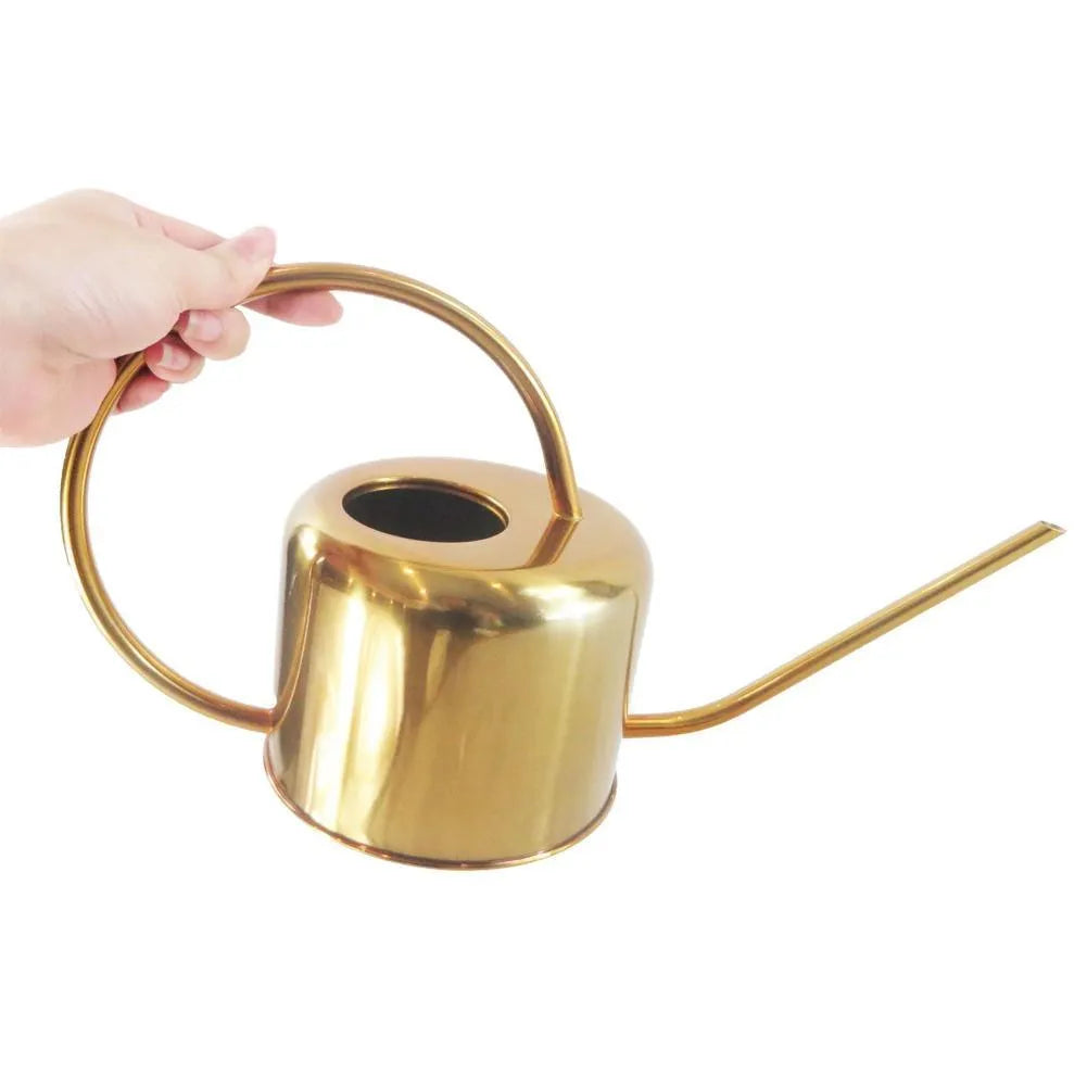 Stainless steel 2 litre watering can with a long spout, shown in black, gold, and silver colour options.