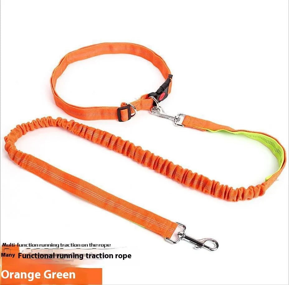 Grey and blue reflective nylon dog leash with elastic sling section for outdoor running.