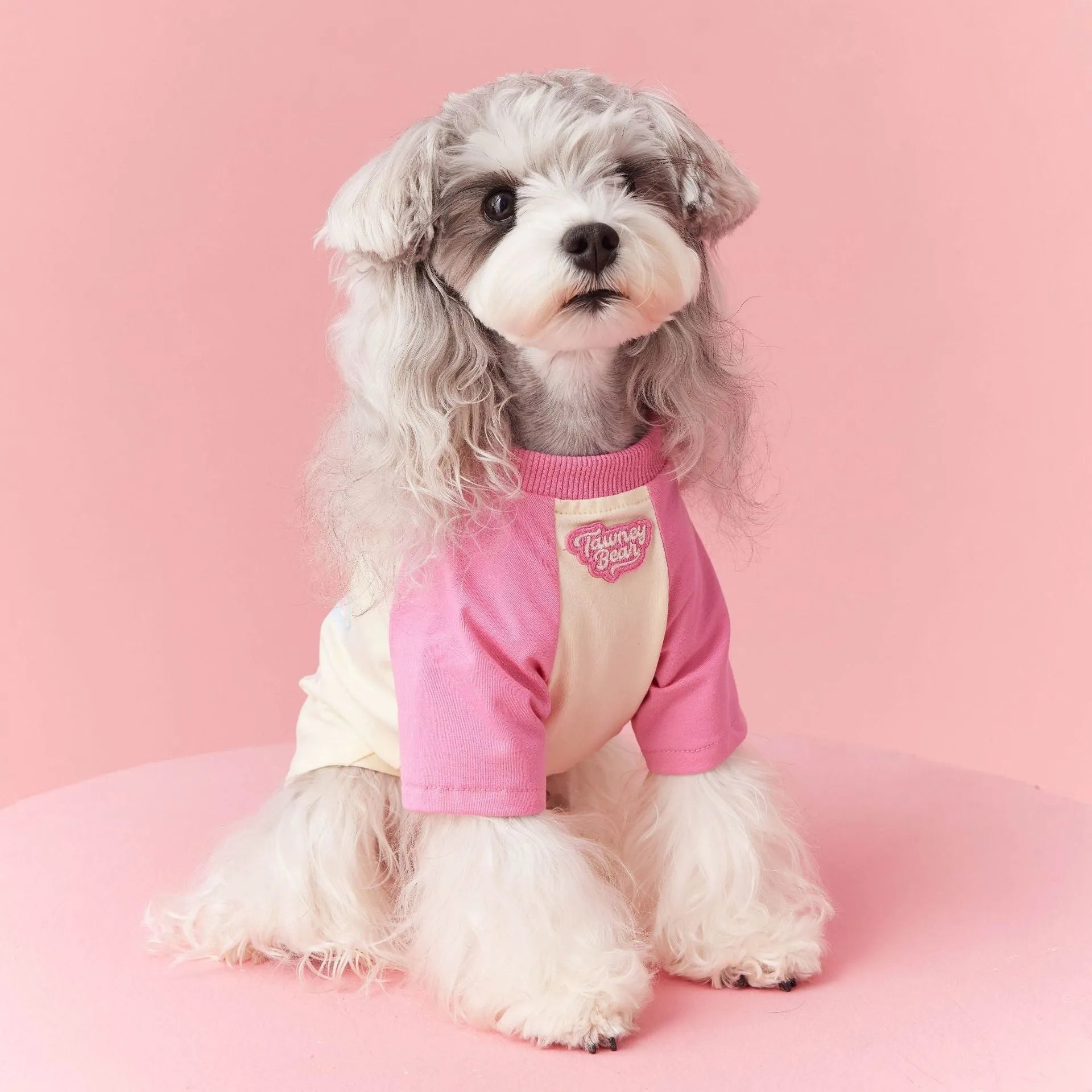 Summer dog clothes made of cotton in embroidered red, showing contrast colour details.