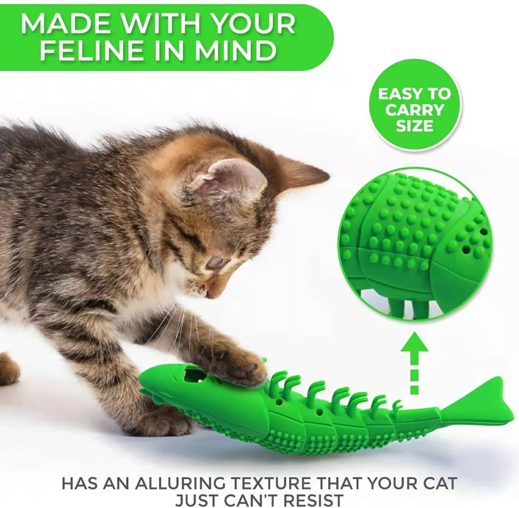 Blue hard rubber catnip toy with teeth cleaning texture and bell for interactive feline dental play