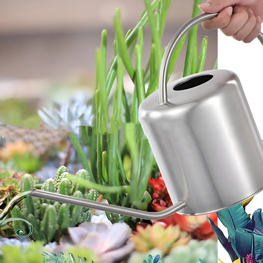 Stainless steel 2 litre watering can with a long spout, shown in black, gold, and silver colour options.