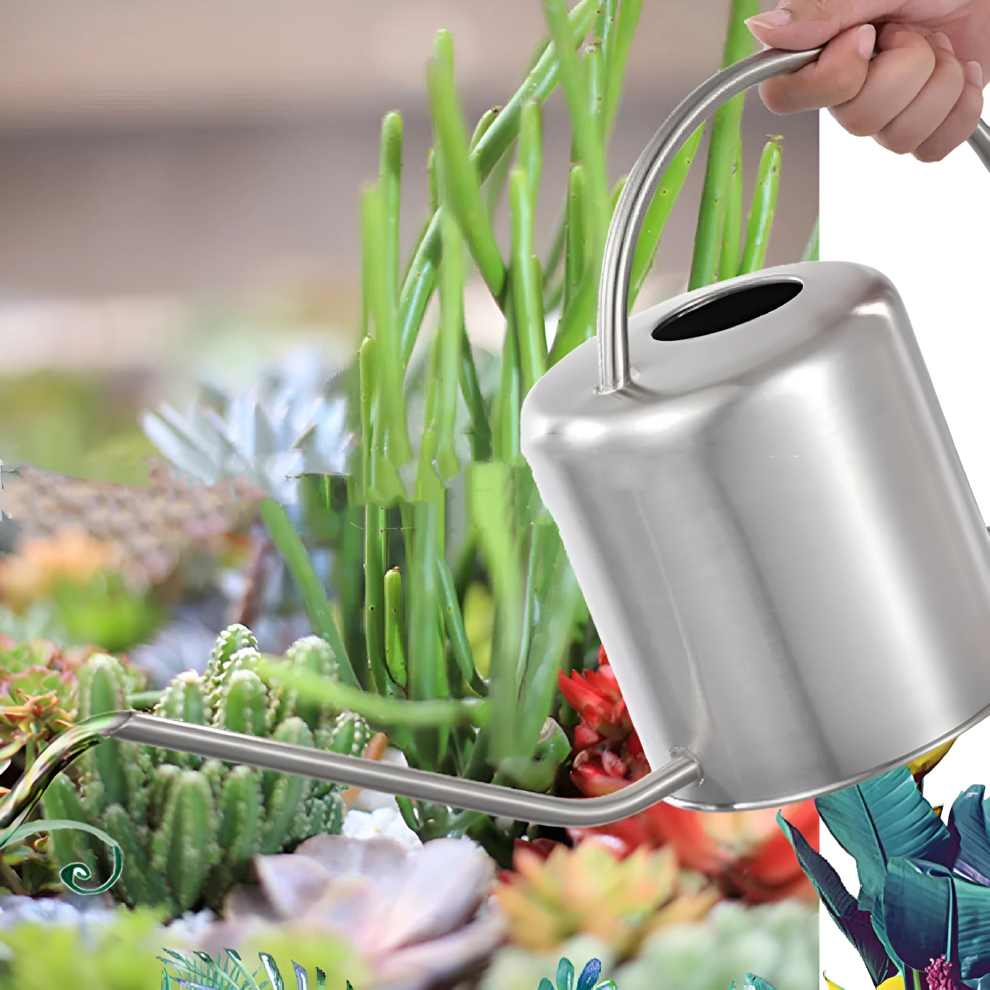 Stainless steel 2 litre watering can with a long spout, shown in black, gold, and silver colour options.
