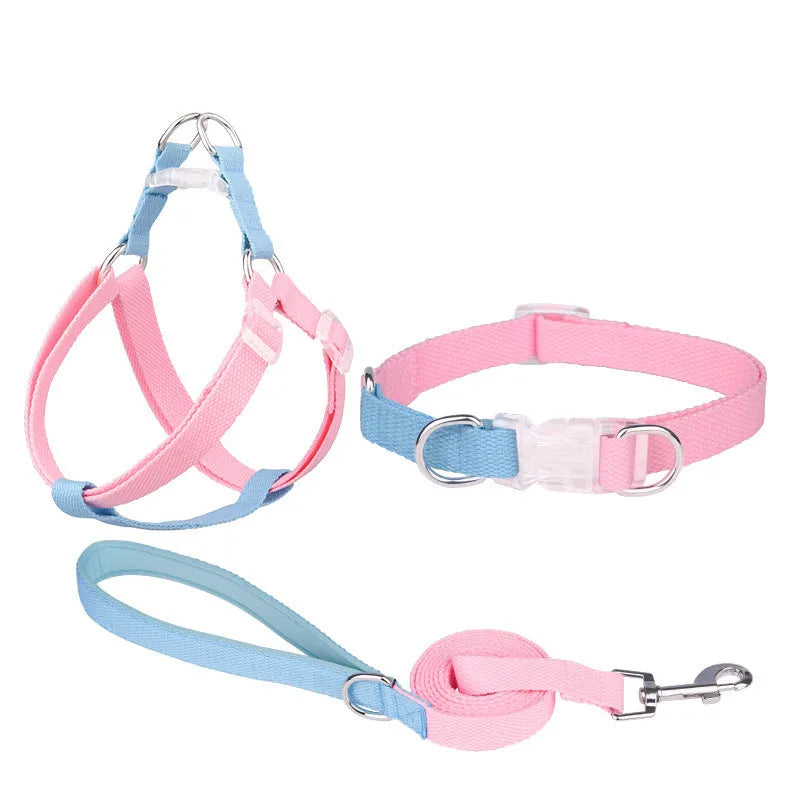 Polyester ribbon dog collar, lead, and chest strap set in a choice of five colour combinations