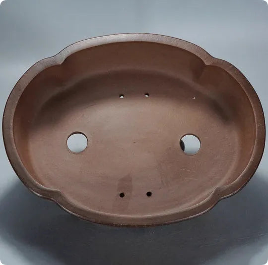 Classical purple clay ceramic bonsai pot with old pile finish, shown on a tabletop.