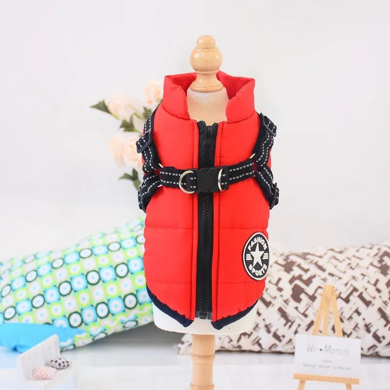Red waterproof dog coat with integrated harness on a Labrador retriever