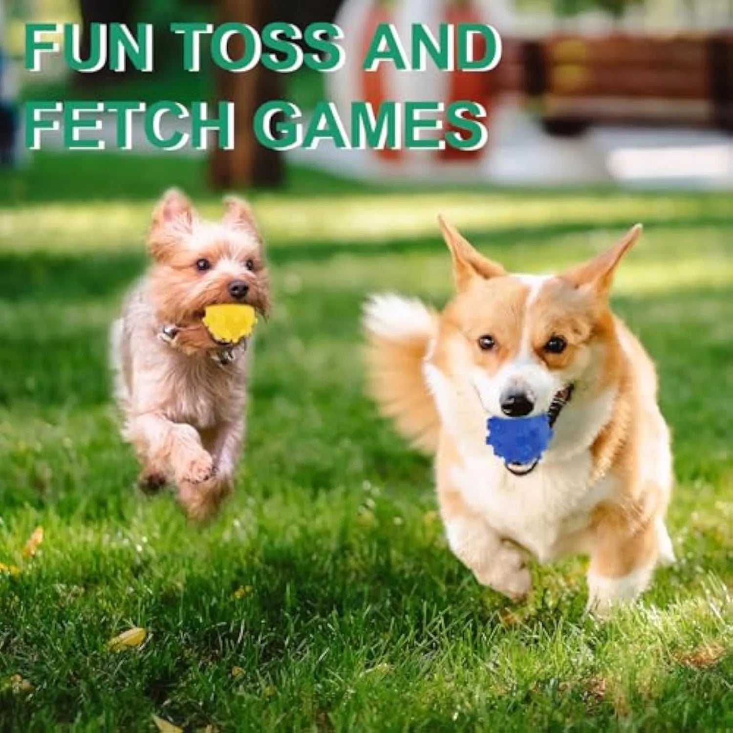 Bright blue, green, pink, and yellow spiky dog balls for small puppy teething and play.