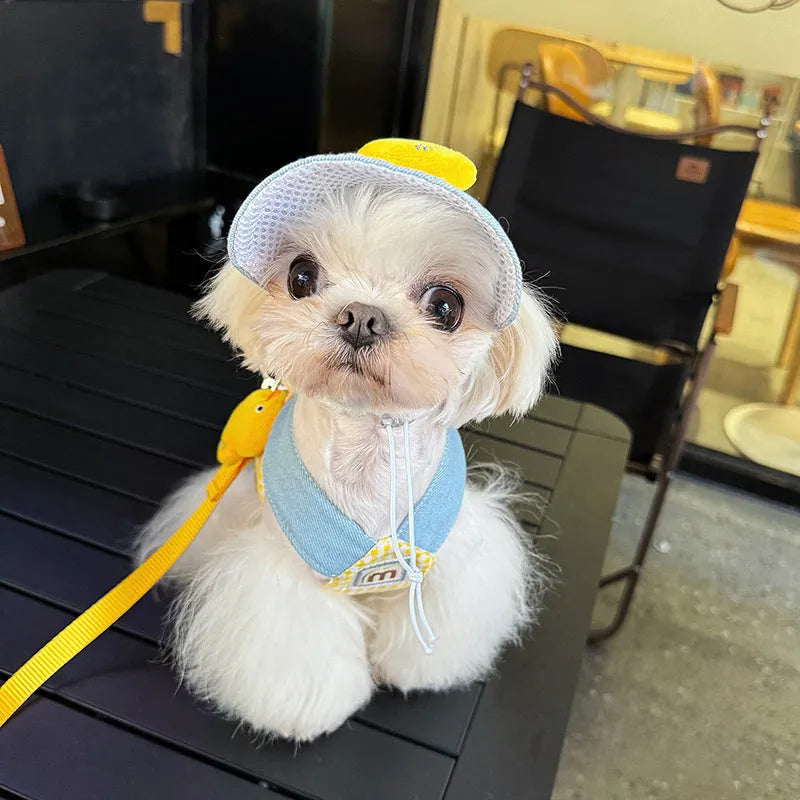 Pet harness leash set with cute hat, wire rope pulling rope, and cat clothes for dogs and cats