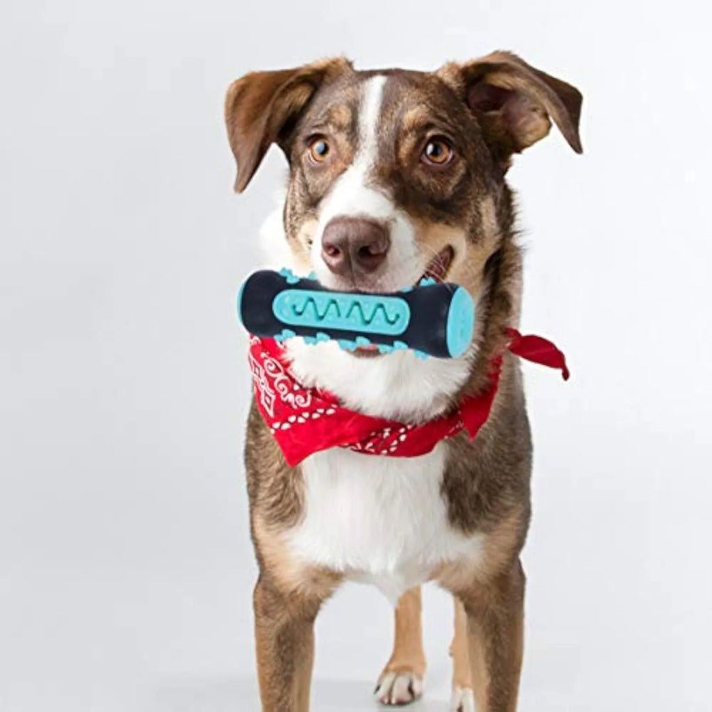 A natural rubber dog toothbrush chew toy in blue colour, showing its textured surface and stick shape.