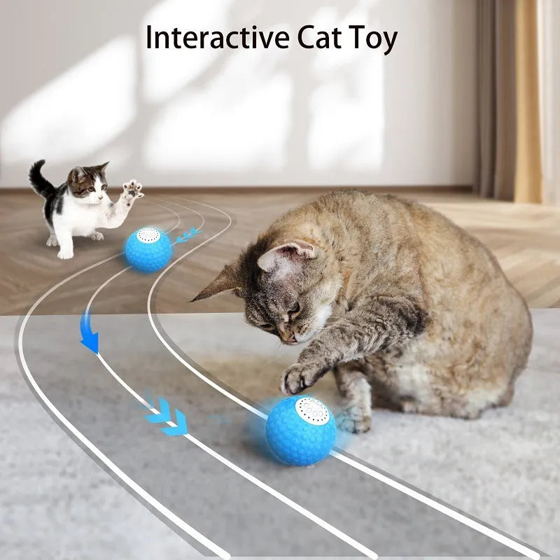 Remote control and a blue interactive cat ball toy on a wooden floor.