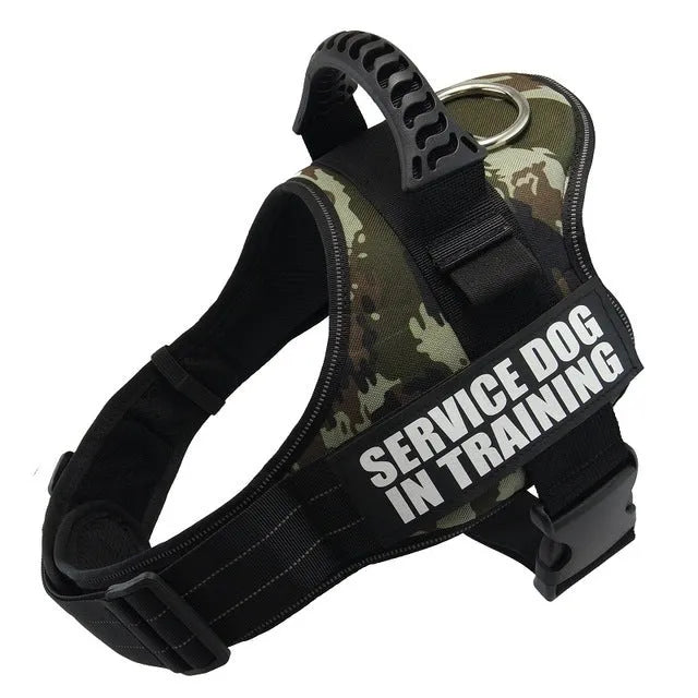 A reflective adjustable no-pull dog harness in a vest style, shown on a dog with a personalised patch.