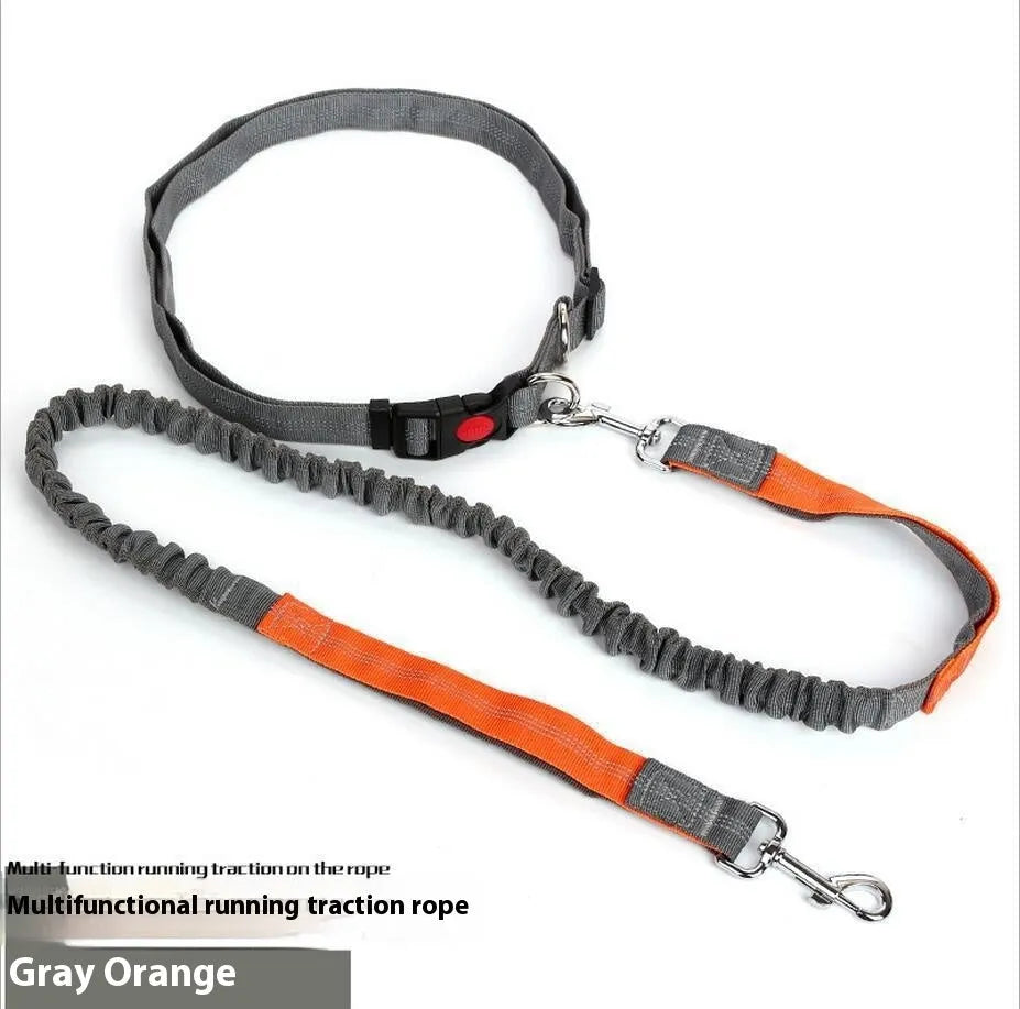 Grey and blue reflective nylon dog leash with elastic sling section for outdoor running.