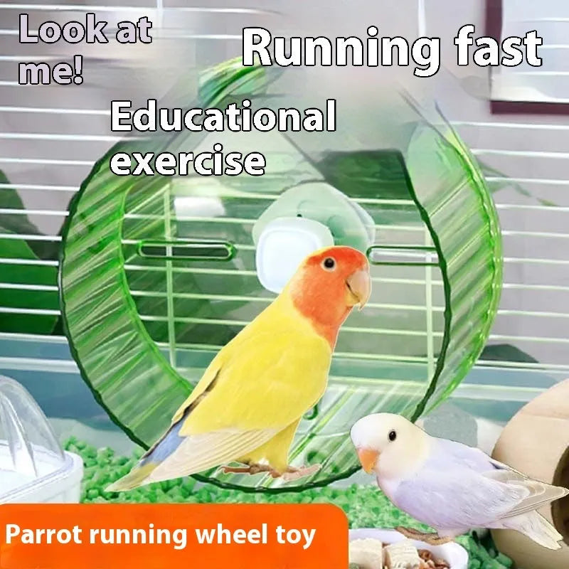 Parrot exercise wheel toy in transparent plastic with rotating mechanism for bird running activity