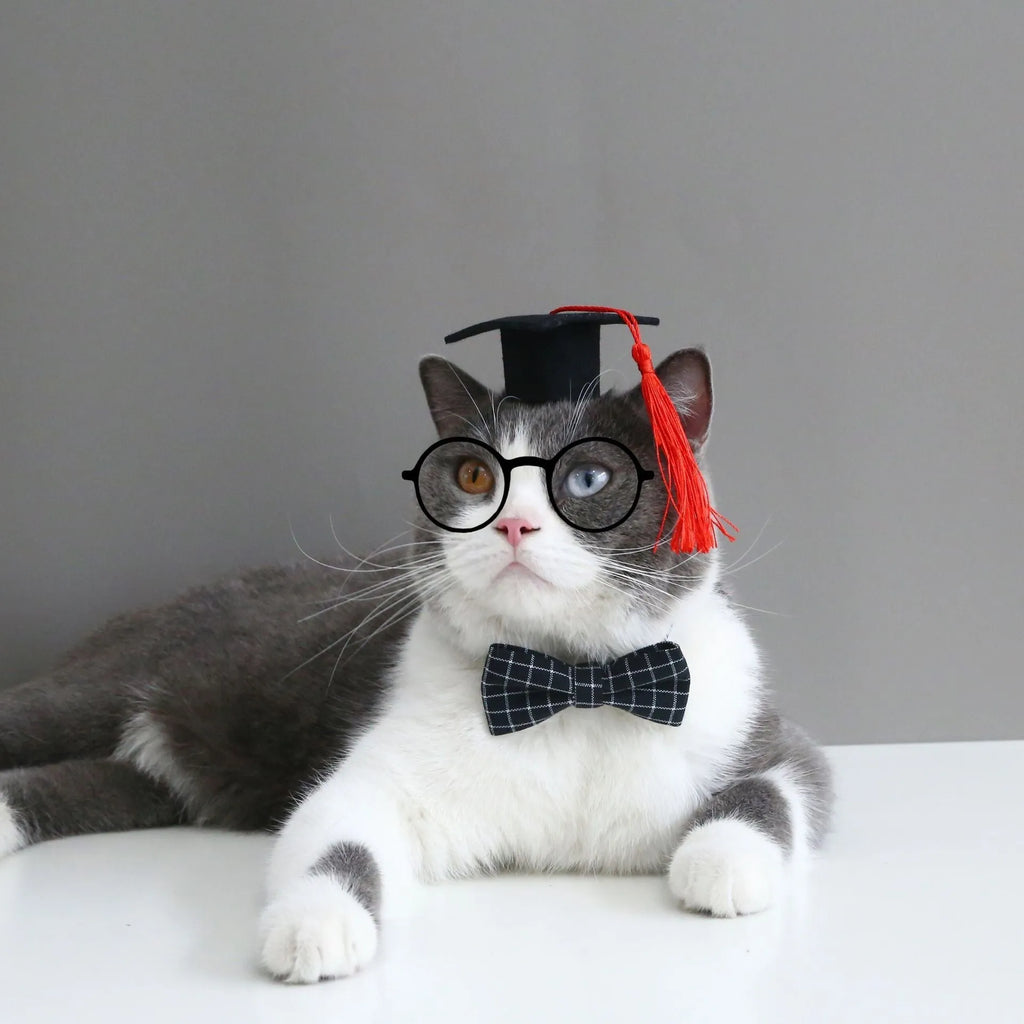 British-style pet bow tie and hair band set with elastic headband for small dogs and cats