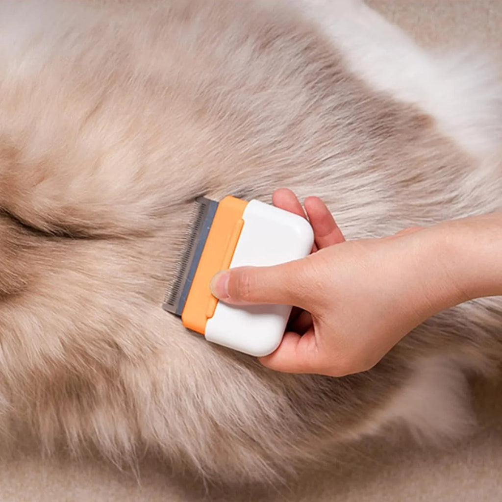 Blue dual-sided pet grooming comb for deshedding cats and dogs, showing stainless steel teeth.